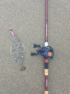 ソゲの釣果