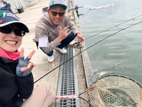 ニジマスの釣果