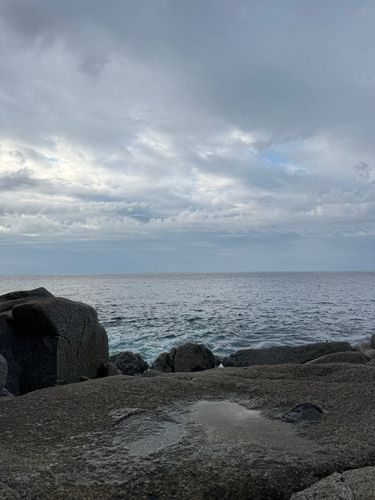 ネリゴの釣果