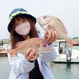 マダイ