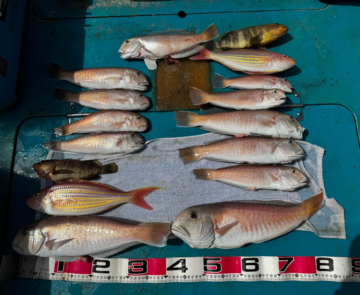 清和丸さんの釣果 3枚目の画像