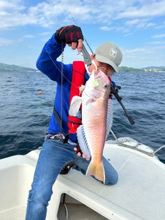 シロアマダイの釣果