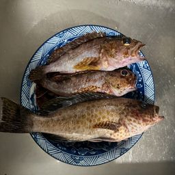 アラカブ
