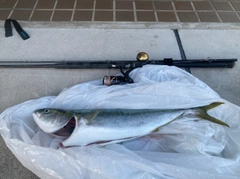 釣果