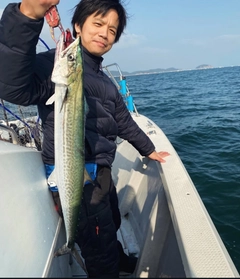 サワラの釣果