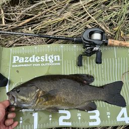 スモールマウスバス