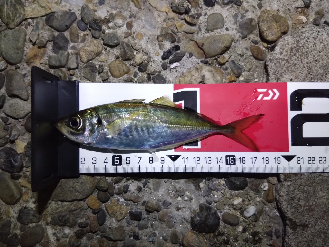 【予約販売品】 SHIMANO 21ソアレXR S610L-Sの最安値・インプレ・釣果 | 本音の リール
