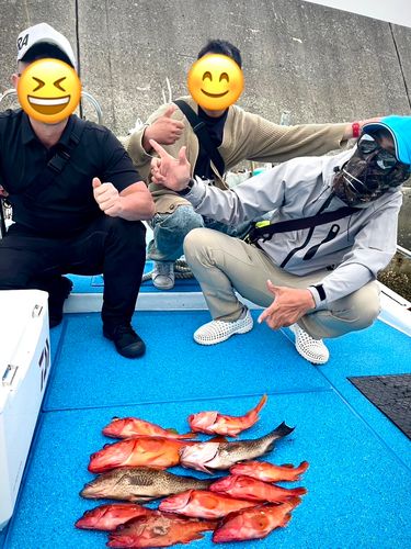 オオモンハタの釣果