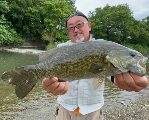 スモールマウスバスの釣果