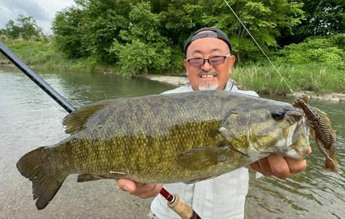 スモールマウスバスの釣果