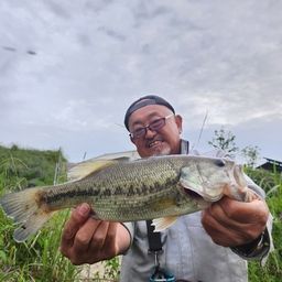 ラージマウスバス