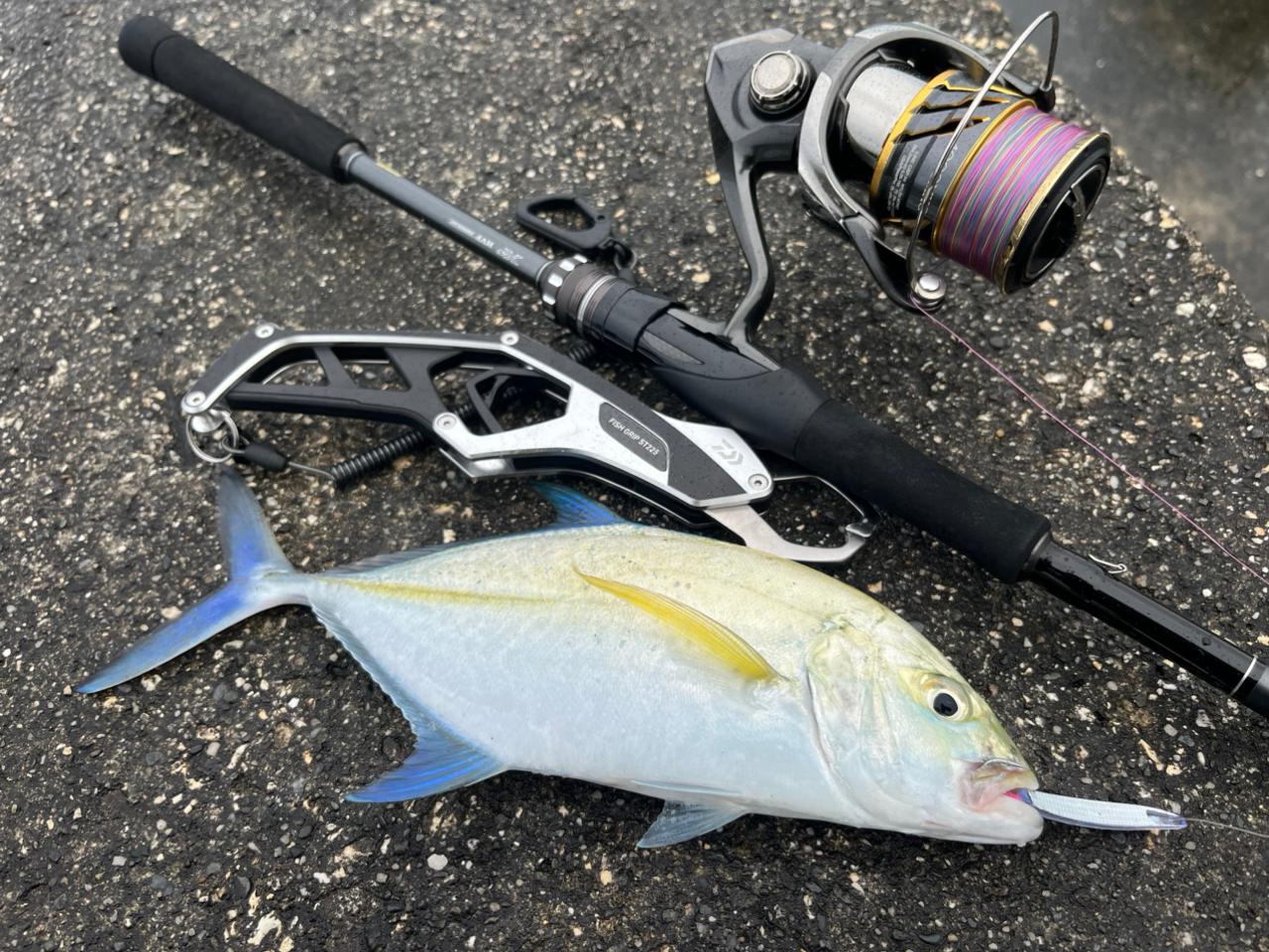 DAIWA（釣り） ダイワ シーバスロッド ラブラックス AGS 93ML・N