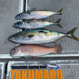 アマダイ