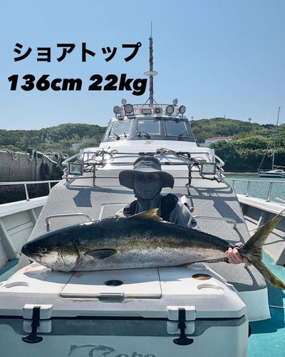 ヒラマサの釣果