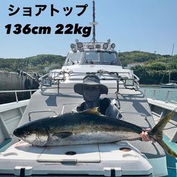 ヒラマサ