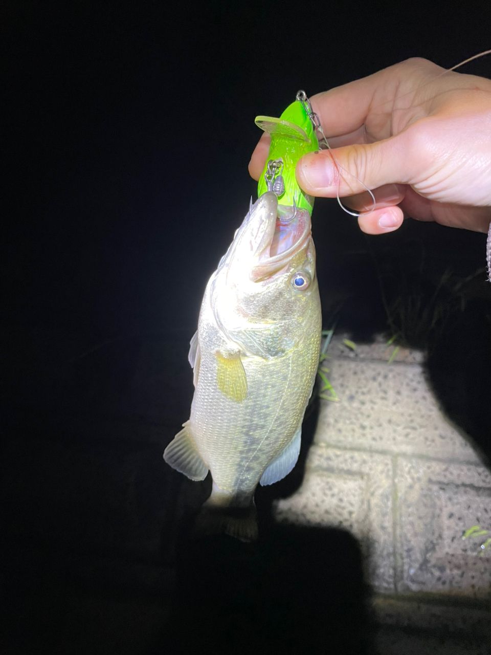 TULALA エルホリゾンテ 83の最安値・インプレ・釣果 | 本音の口コミが TULALA エルホリゾンテ 83の最安値・インプレ・釣果 | 本音の口コミが