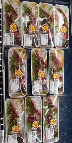 ボラの釣果