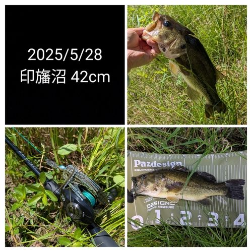 ブラックバス