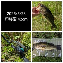 ブラックバス