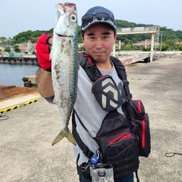 サバ
