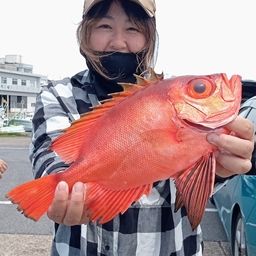 チカメキントキ