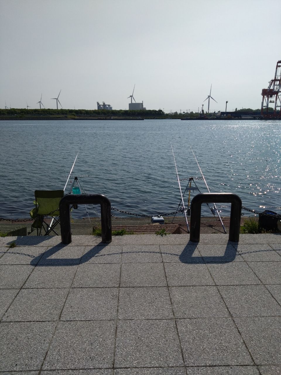イワシ