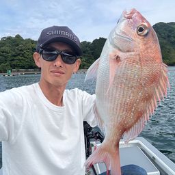 マダイ