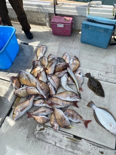 タイの釣果