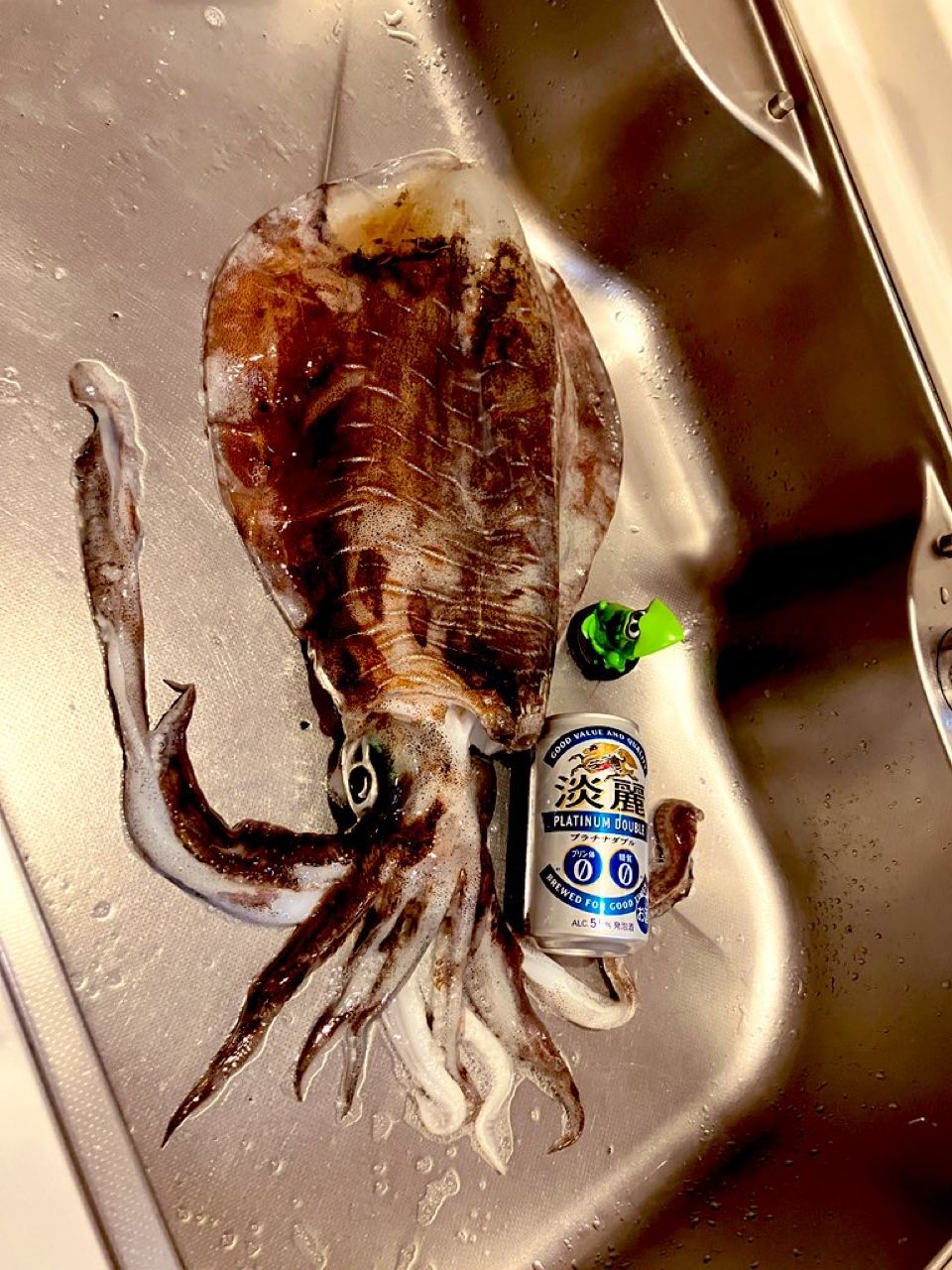 MintPerrorさんの釣果 2枚目の画像