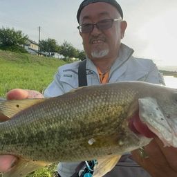 ラージマウスバス