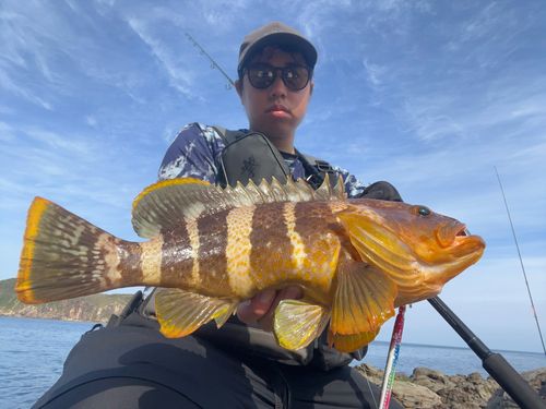 アオナの釣果
