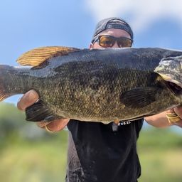 スモールマウスバス