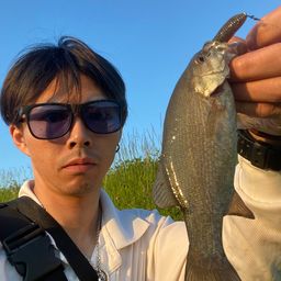 スモールマウスバス