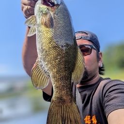 スモールマウスバス