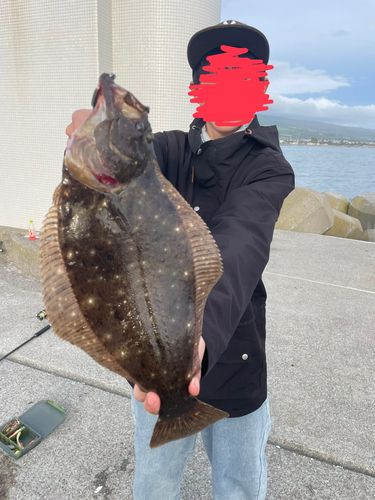 ヒラメ