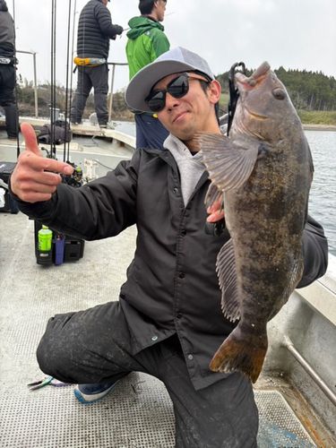 アイナメの釣果