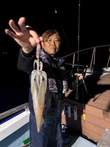 ケンサキイカの釣果
