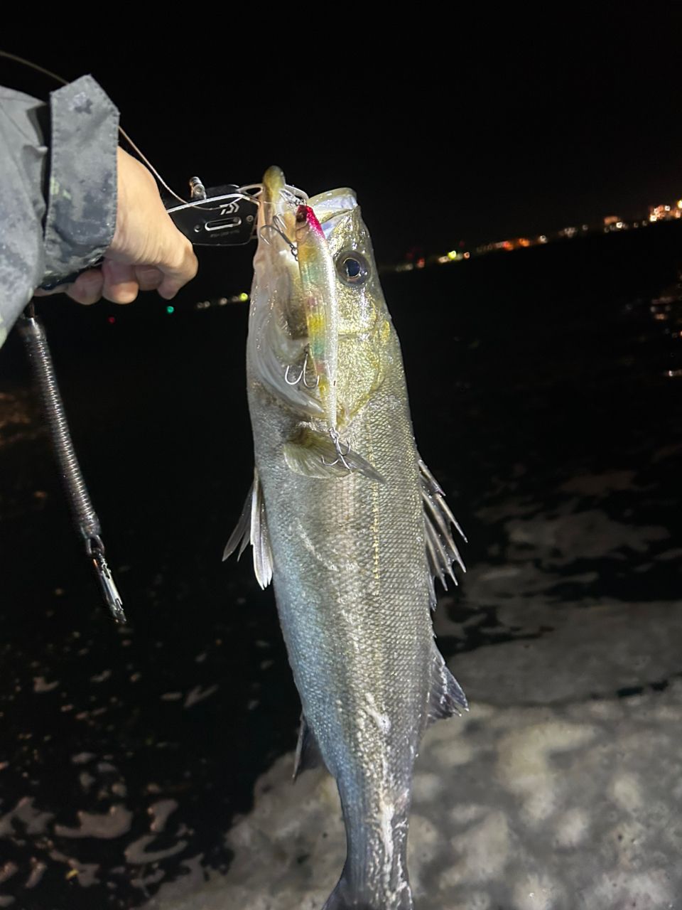 メガバス　空海ガルフ　CKG-63MLS メガバス 空海ガルフ CKG-63MLS (ロッド・釣竿) 価格比較 - 価格.com