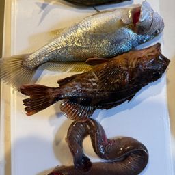 イシモチ