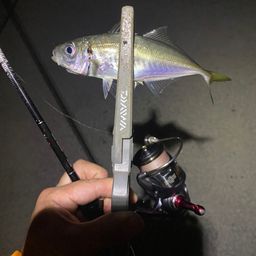 アジ