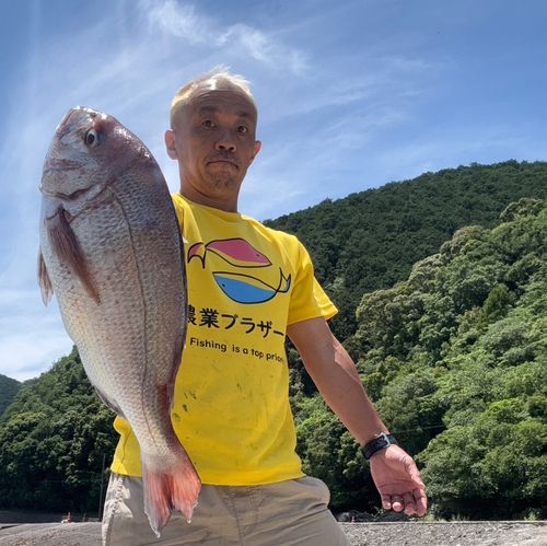 タイの釣果