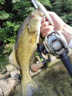 釣果