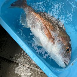 タイ