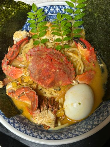 カタクチイワシの釣果