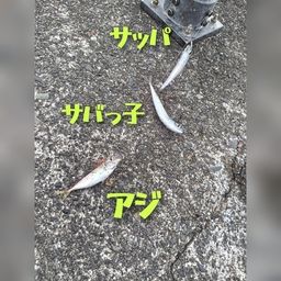 サッパ