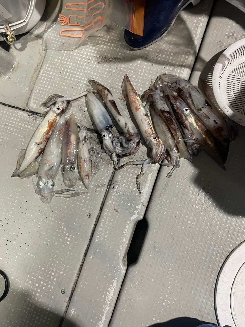 田畑良朗@なつき丸さんの釣果 3枚目の画像