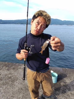 クロムツの釣果