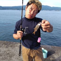 クロムツ