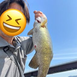 スモールマウスバス