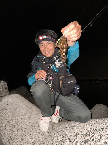 ガシラの釣果